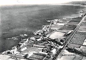 Fouka Marine